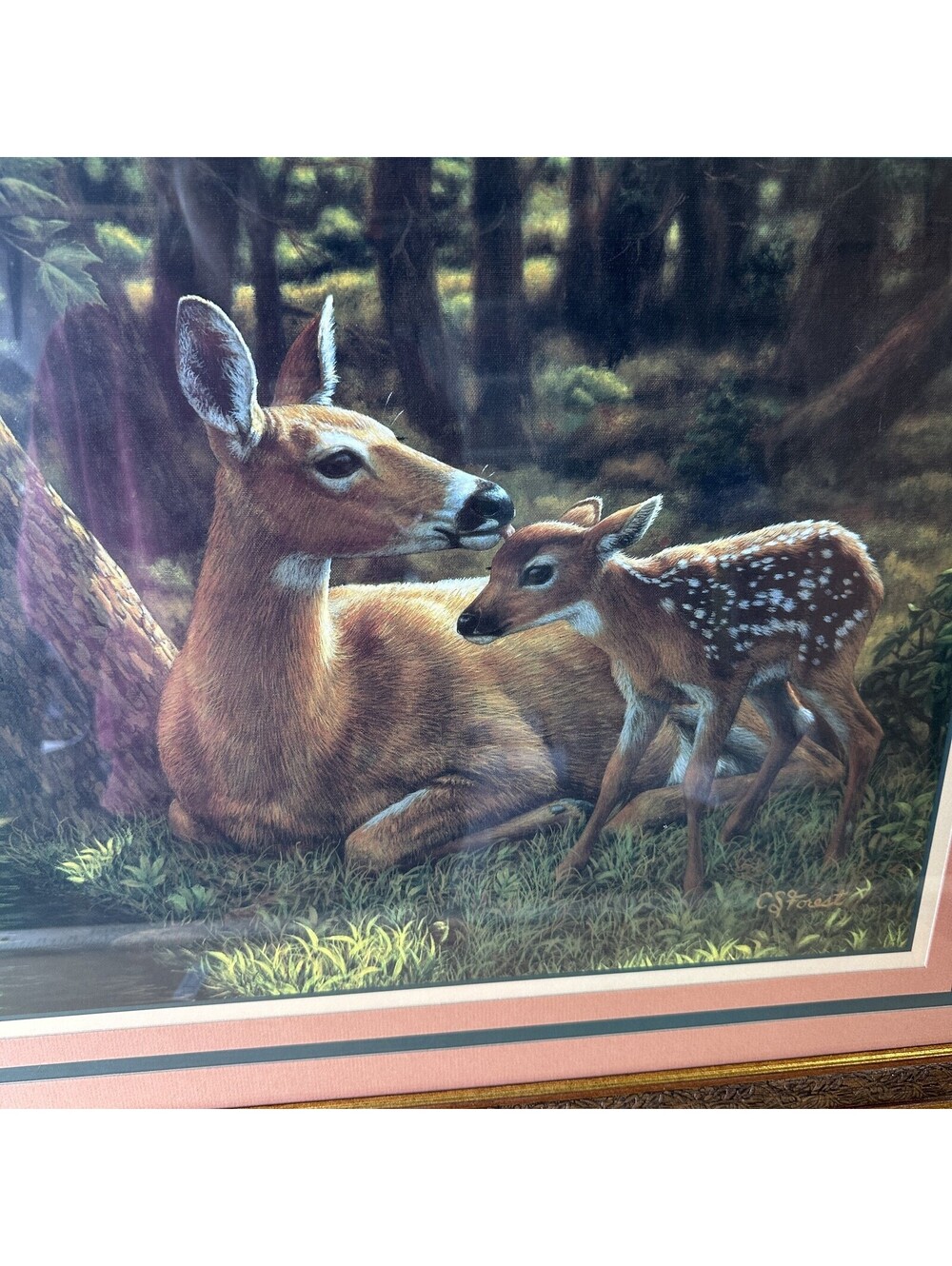 Vintage Home Interiors & Gifts Deer and Fawn Framed Art Print C.S. Forest Signed